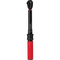 Cl&eacute; dynamom&eacute;trique, &agrave; cliquer, Entraînement 3/8" carr&eacute;, 5,6 - 28,2 Nm/50 - 250 lb-po Rock Safety Industrial Ltd