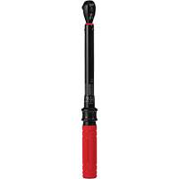 Cl&eacute; dynamom&eacute;trique, &agrave; cliquer, Entraînement 3/8" carr&eacute;, 20 - 100 lb-po/27,1 - 135,6 Nm Rock Safety Industrial Ltd