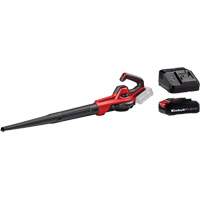 Souffleuse universelle 110 pi3/min sans fil avec batterie 2,5 Ah et ensemble de d&eacute;part de chargeur, 18 V, Vitesse d'air 155,34 mi/h, &agrave; pile Rock Safety Industrial Ltd