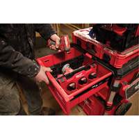 Divider for PACKOUT Drawer Tool Boxes Rock Safety Industrial Ltd