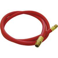 Tuyau de raccordement pour d&eacute;vidoir de tuyau, Air, Caoutchouc EDPM, 1/2" dia. x 5', 300 psi, 1/2 NPT Rock Safety Industrial Ltd