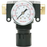 D&eacute;tendeur &agrave; piston en ac&eacute;tal MODULAIR 200, 1/4" NPT, PSI max. de 150 psi, Canalisation/Modulaire Rock Safety Industrial Ltd