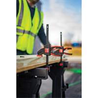 Medium Trigger Clamps Set, 12" (304.8 mm) Rock Safety Industrial Ltd