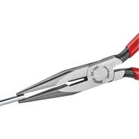 Long Nose Pliers with Cutter, 6-1/4" L Rock Safety Industrial Ltd