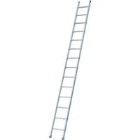 Industrial Heavy-Duty Extension/Straight Ladders, 8', Aluminum, 300 lbs., CSA Grade 1A Rock Safety Industrial Ltd