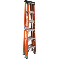 Step Ladder, 6', Fibreglass, 375 lbs. Capacity, Type 1AA Rock Safety Industrial Ltd