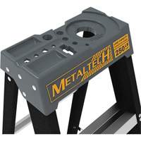 Escabeau avec plateau &agrave; peinture, 10', Fibre de verre, Capacit&eacute; 250 lb, Type 1 Rock Safety Industrial Ltd