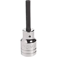 Embout &agrave; ins&eacute;rer, Hexagonale, 18 mm x 4" lo, Prise 1/2" Rock Safety Industrial Ltd