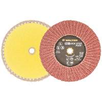 QUICK-STEP FLEX, 5" x Type 29, 40 Grit, Aluminum Oxide Rock Safety Industrial Ltd