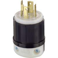 3-Pole 4-Wire Grounding Locking Plug, Nylon, 30 Amps, 125 V/250 V, L14-30P Rock Safety Industrial Ltd