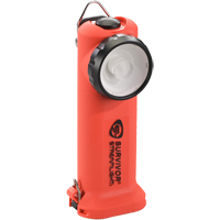 Lampe de poche Survivor, DEL, 175 lumens, Piles AA Rock Safety Industrial Ltd