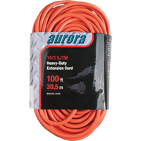 Vinyl Extension Cord, Outdoor, SJTW, 14/3 AWG, 13 A, 100' Rock Safety Industrial Ltd