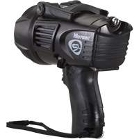 Waypoint&reg; Pistol Grip Spotlight, LED, 550 Lumens, C Batteries Rock Safety Industrial Ltd