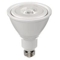 LED Bulb, PAR30, 10 W, 800 Lumens, Medium Base Rock Safety Industrial Ltd