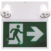 Running Man Exit Sign, LED, Battery Operated/Hardwired, 12" L x 12 1/2" W, Pictogram Rock Safety Industrial Ltd