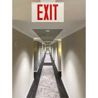 Exit Sign, LED, Battery Operated/Hardwired, 12-1/5" L x 7-1/2" W, English Rock Safety Industrial Ltd