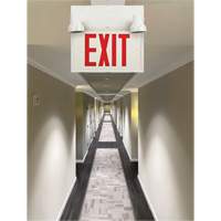 Exit Sign with Security Lights, LED, Battery Operated/Hardwired, 12-1/10" L x 11" W, English Rock Safety Industrial Ltd