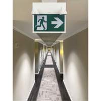 Running Man Sign with Security Lights, LED, Battery Operated/Hardwired, 12-1/10" L x 11" W, Pictogram Rock Safety Industrial Ltd