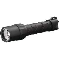 PS100 Flashlight, LED, 110 Lumens Rock Safety Industrial Ltd