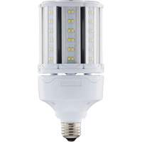 Ampoule HID de remplacement s&eacute;lectionnable ULTRA LED, E26, 18 W, 2700 lumens Rock Safety Industrial Ltd