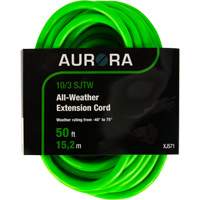 Cordon rallonge de calibre industriel, Toutes saisons, SJTW, AWG 10/3, 15 A, 50' Rock Safety Industrial Ltd