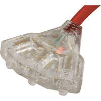 Generator Extension Cord with Tritap, STW, 10 AWG, 3 Outlet(s), 25' Rock Safety Industrial Ltd