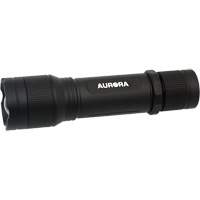 Lampe de poche IP67, DEL, 2000 lumens, Piles Rechargeable Rock Safety Industrial Ltd