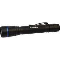 Lampe de poche IPX7, DEL, 250 lumens, Piles AA Rock Safety Industrial Ltd