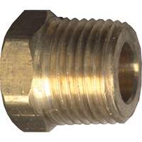 Hex Head Cored Plug, Pipe, 1/8" Dia., Brass Rock Safety Industrial Ltd